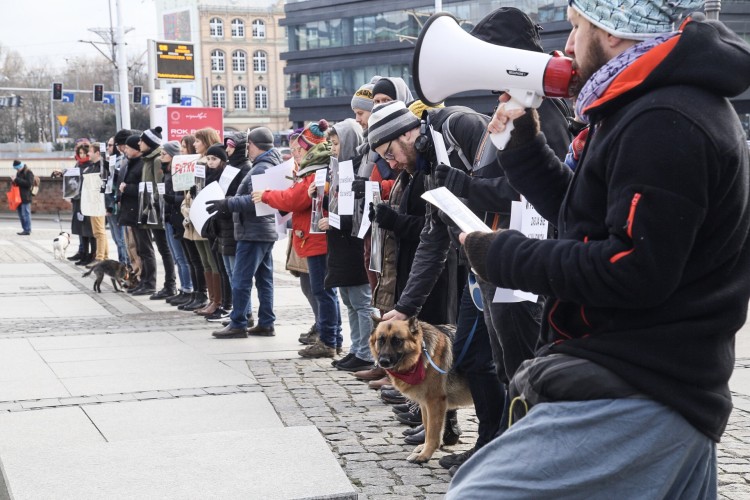 Wrocławscy obrońcy zwierząt popierają zmiany zaproponowane przez PiS. „Zakaz jest bliżej niż kiedykolwiek wcześniej” [ZDJĘCIA], Magda Pasiewicz